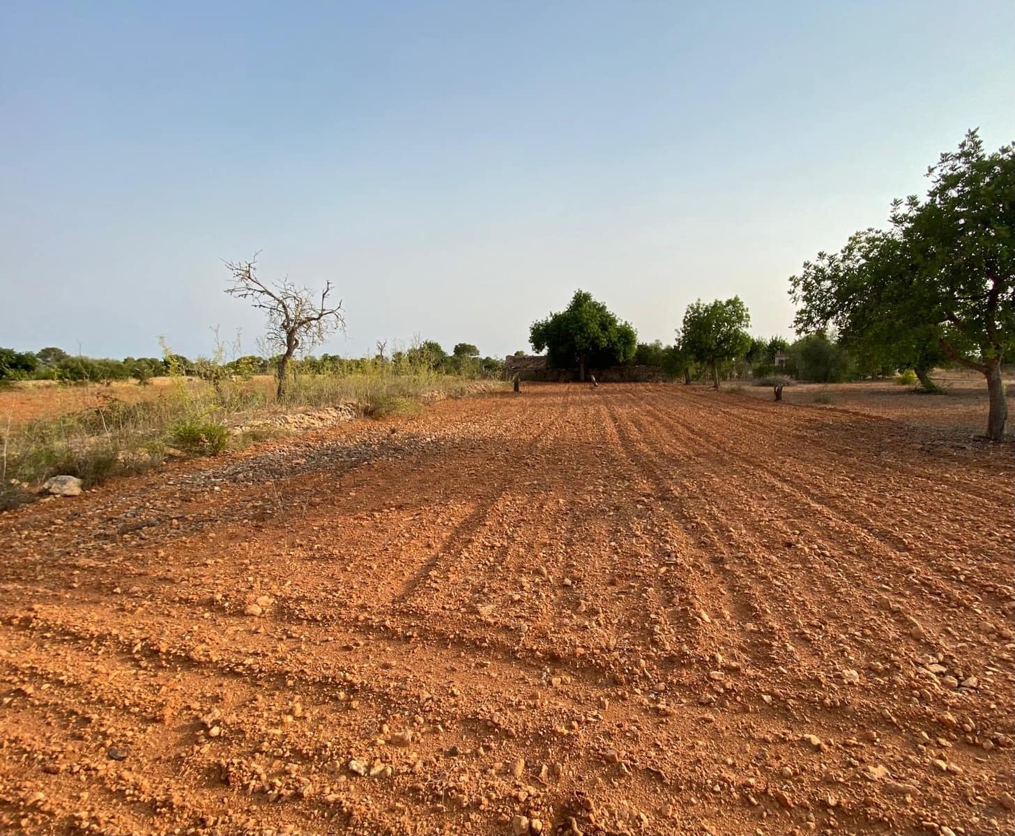 Finca/Country House for sale in Llucmajor - € 370,000 (Ref: 9368201)