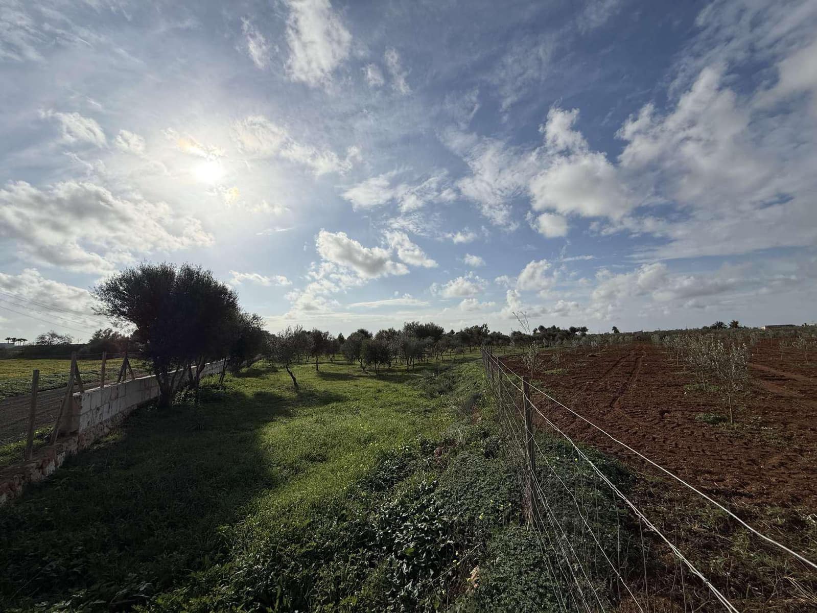 Terreno Non Edificato in vendita in Llucmajor - 345.000 € (Rif: 9459446)