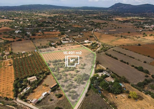 Terreno Non Edificato in vendita in Llucmajor - 345.000 € (Rif: 9459446)