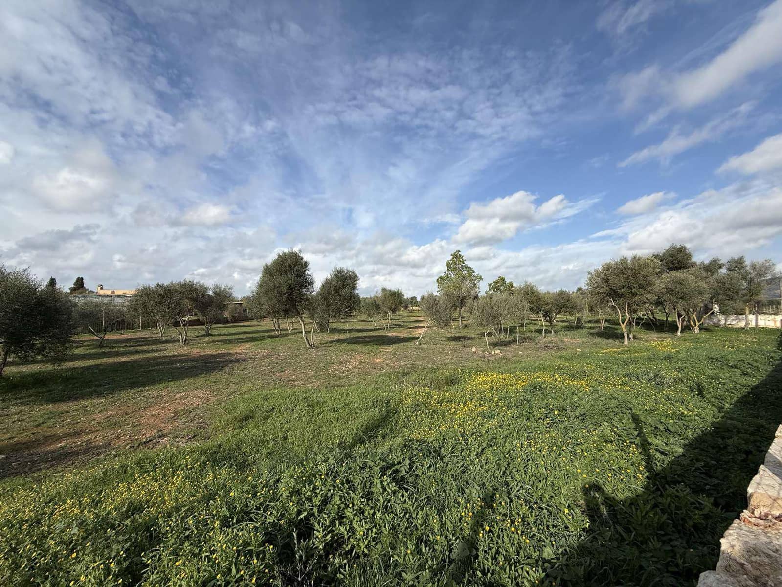 Terreno Non Edificato in vendita in Llucmajor - 345.000 € (Rif: 9459446)