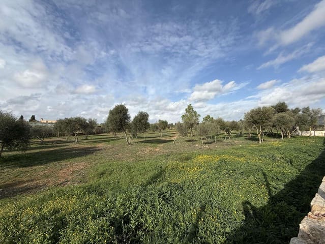 Terreno Non Edificato in vendita in Llucmajor - 345.000 € (Rif: 9459446)