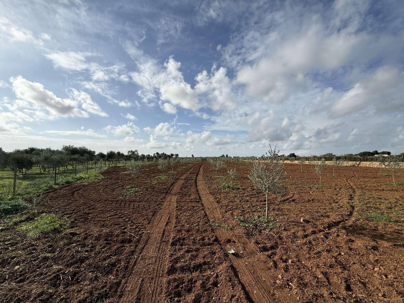 Terreno Non Edificato in vendita in Llucmajor - 345.000 € (Rif: 9459446)