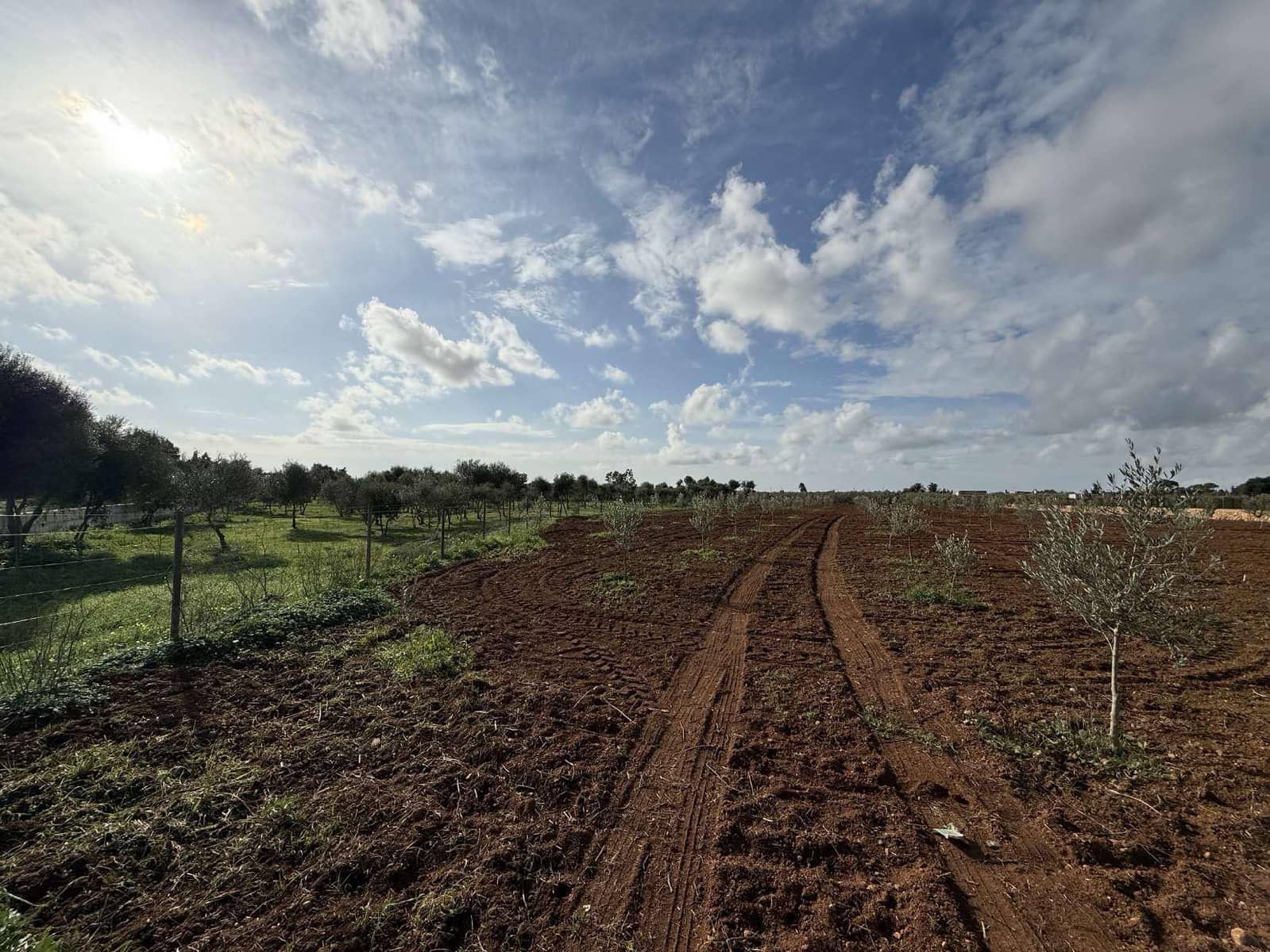 Terreno Non Edificato in vendita in Llucmajor - 345.000 € (Rif: 9459446)