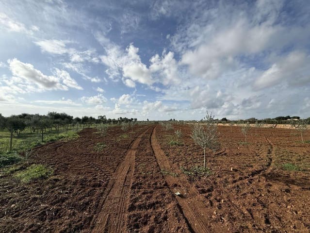 Terreno Non Edificato in vendita in Llucmajor - 345.000 € (Rif: 9459446)