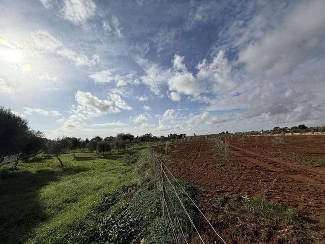 Terreno Non Edificato in vendita in Llucmajor - 345.000 € (Rif: 9459446)