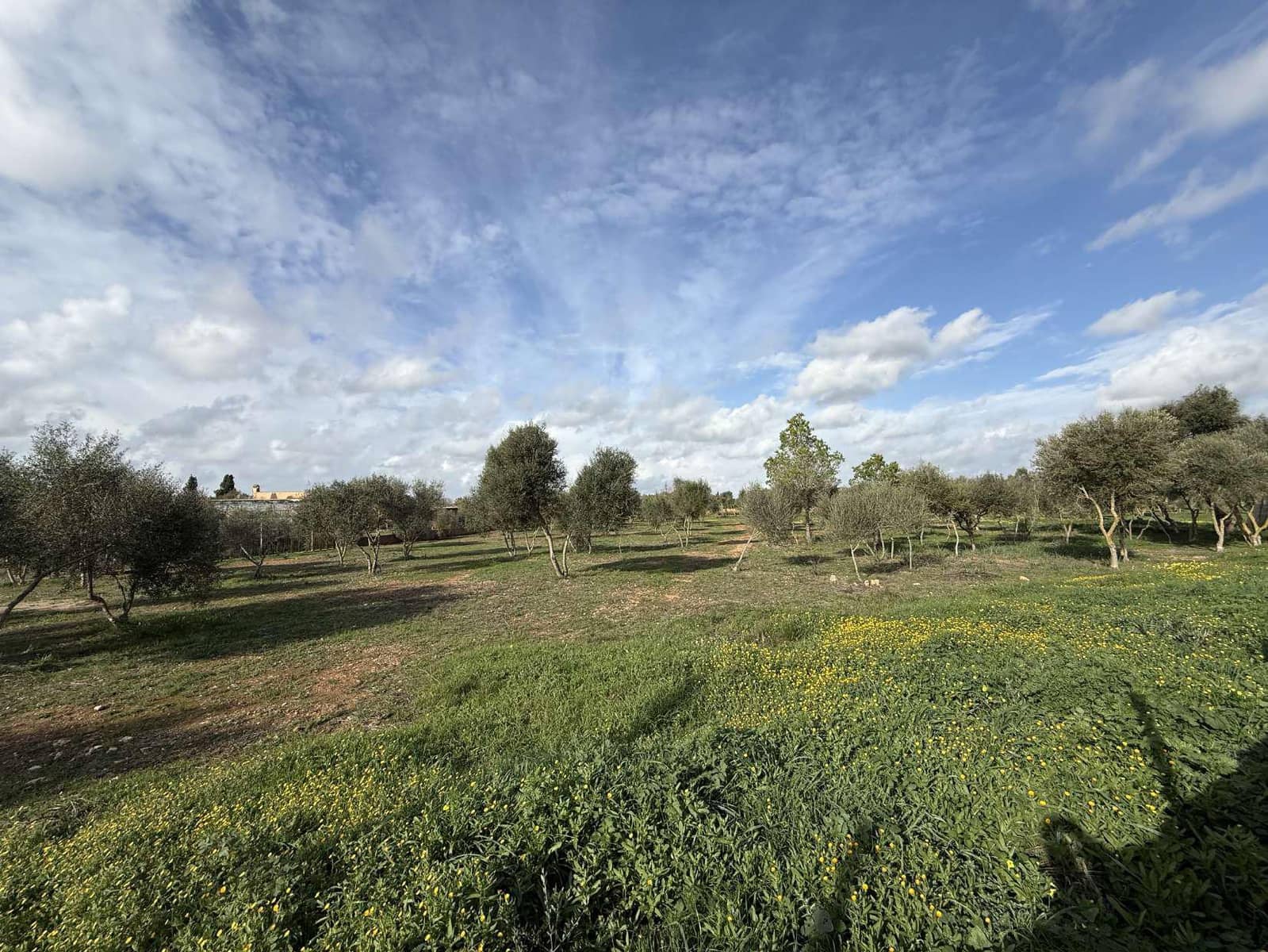 Terreno Non Edificato in vendita in Llucmajor - 345.000 € (Rif: 9459446)