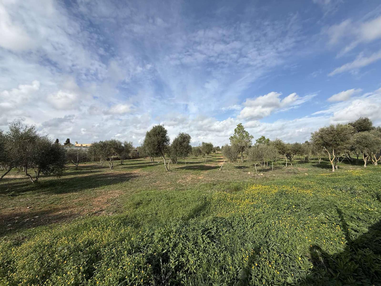 Terreno Non Edificato in vendita in Llucmajor - 345.000 € (Rif: 9459446)