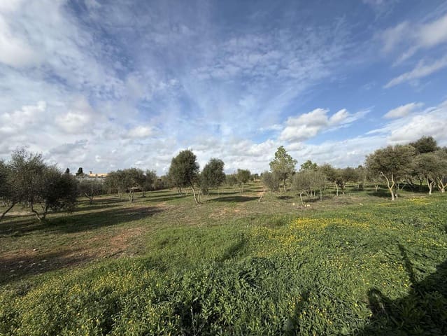 Terreno Non Edificato in vendita in Llucmajor - 345.000 € (Rif: 9459446)