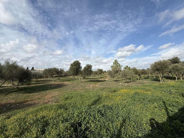 Terreno Non Edificato in vendita in Llucmajor - 345.000 € (Rif: 9459446)