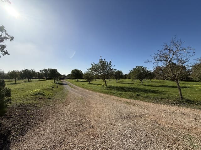 3 sypialnia Finka/Dom wiejski na sprzedaż w Llucmajor z basenem garażem - 1 500 000 € (Ref: 9606342)