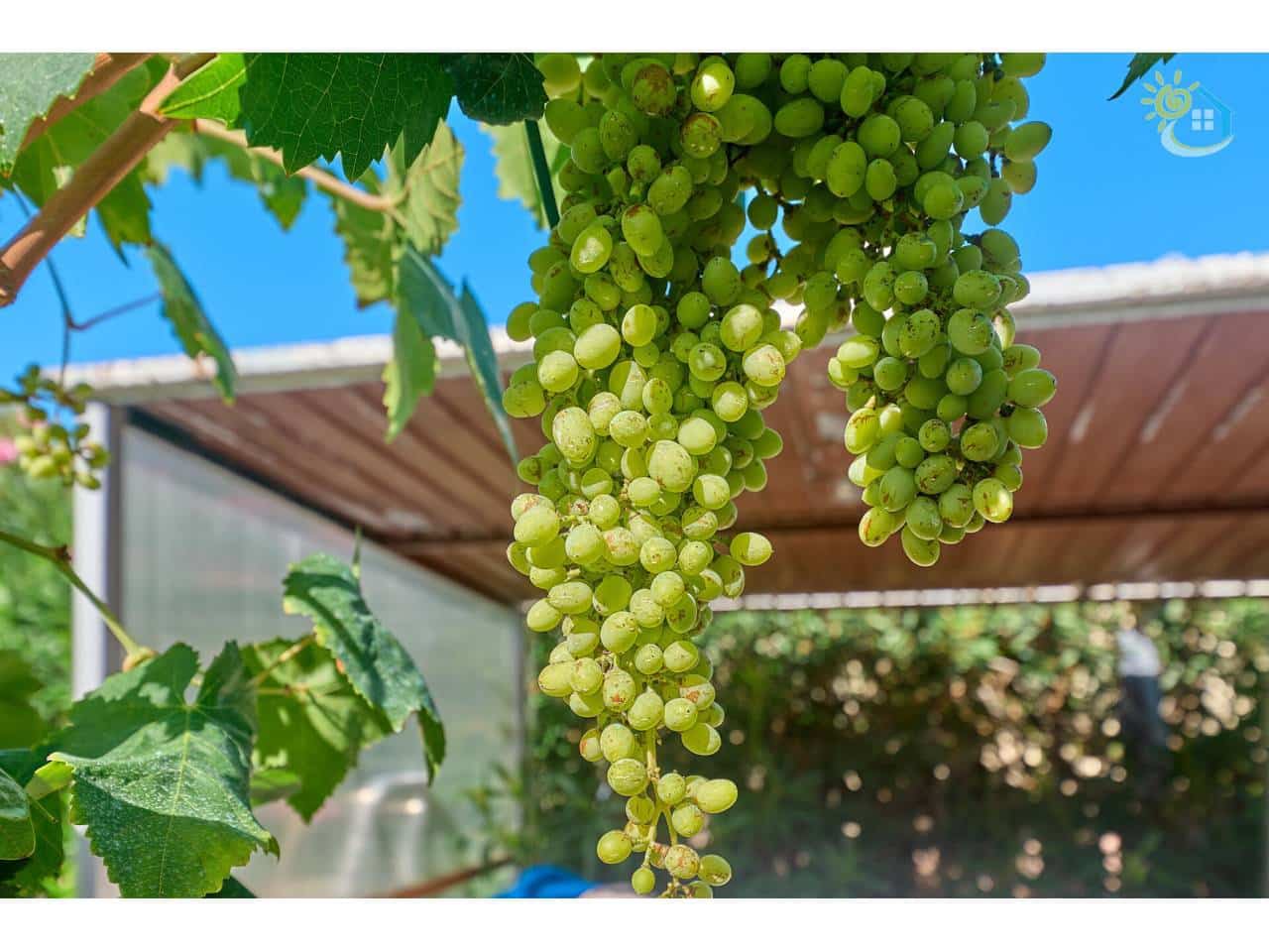 4 camera da letto Villa in vendita in El Campello con piscina - 445.000 € (Rif: 9622740)