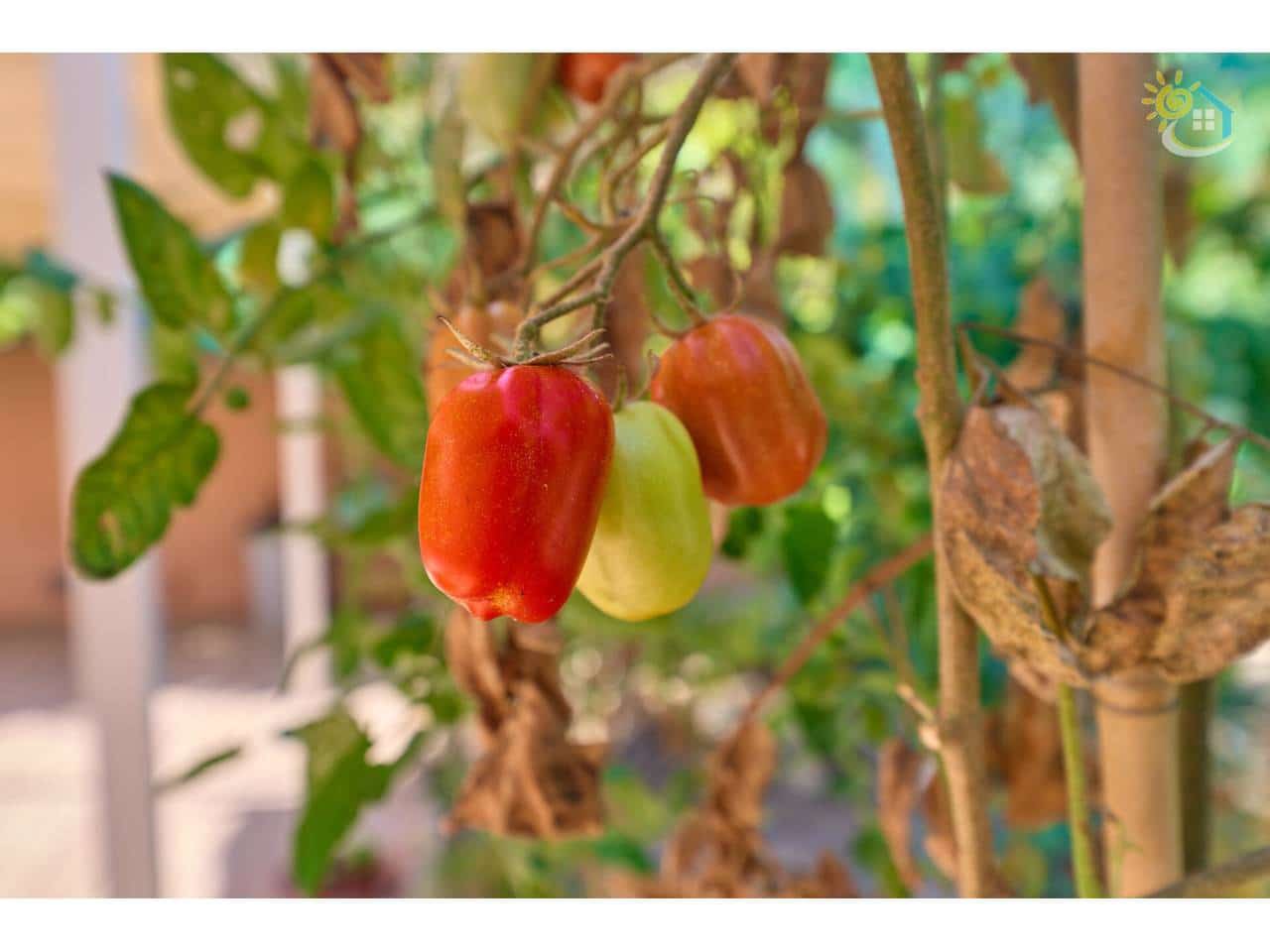 4 camera da letto Villa in vendita in El Campello con piscina - 445.000 € (Rif: 9622740)