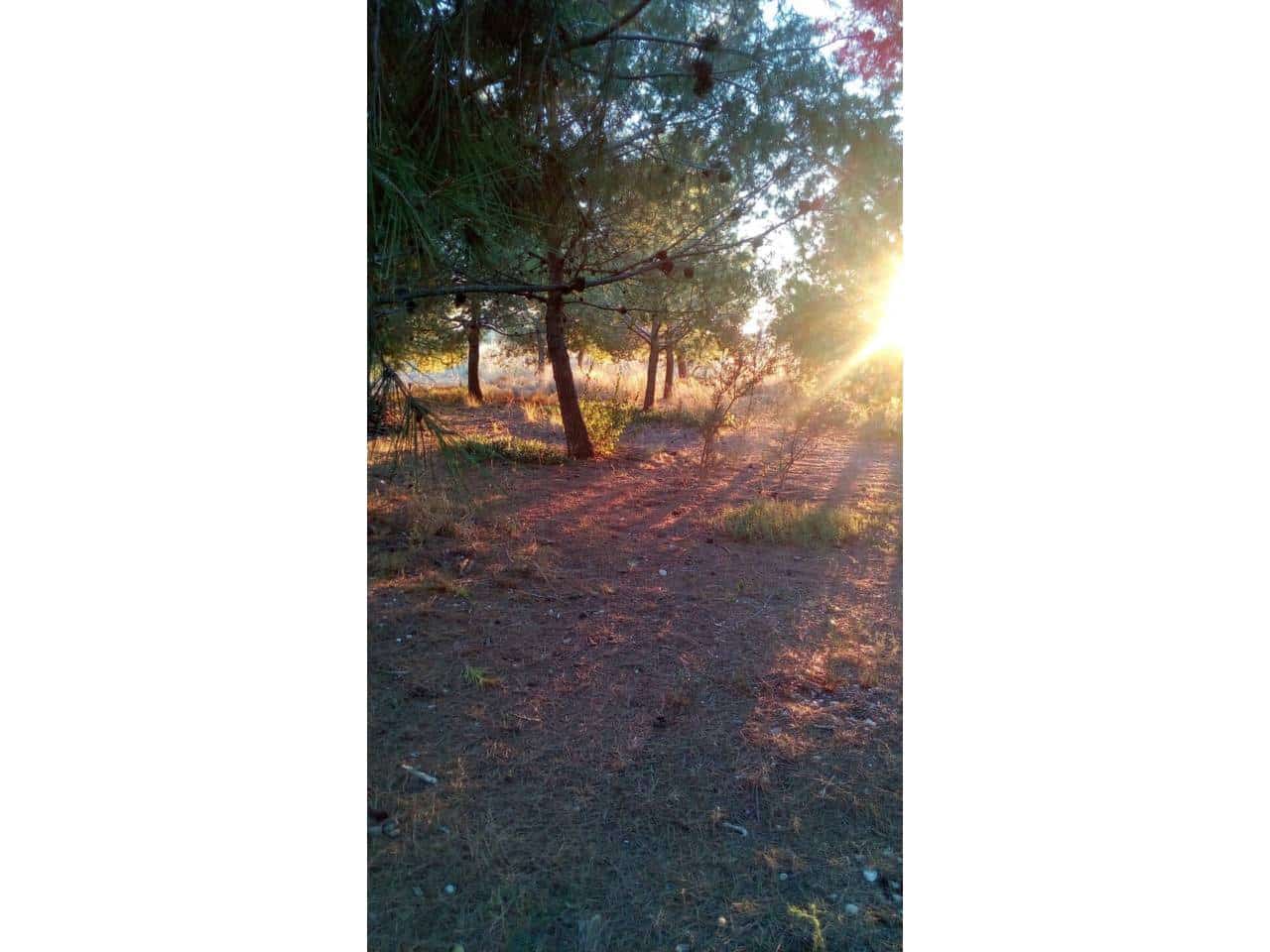 4 camera da letto Villa in vendita in San Vicente / Sant Vicent del Raspeig con piscina garage - 430.000 € (Rif: 9650975)