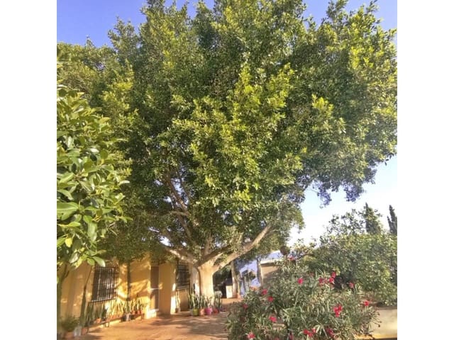 4 camera da letto Villa in vendita in San Vicente / Sant Vicent del Raspeig con piscina garage - 430.000 € (Rif: 9650975)