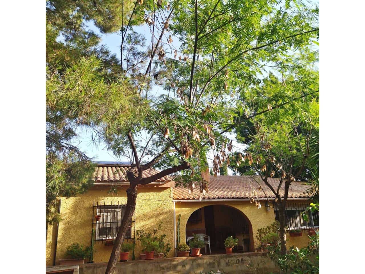 4 camera da letto Villa in vendita in San Vicente / Sant Vicent del Raspeig con piscina garage - 430.000 € (Rif: 9650975)