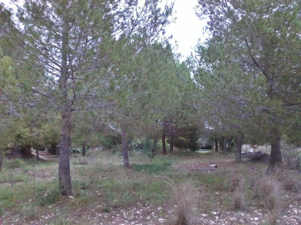 4 camera da letto Villa in vendita in San Vicente / Sant Vicent del Raspeig con piscina garage - 430.000 € (Rif: 9650975)