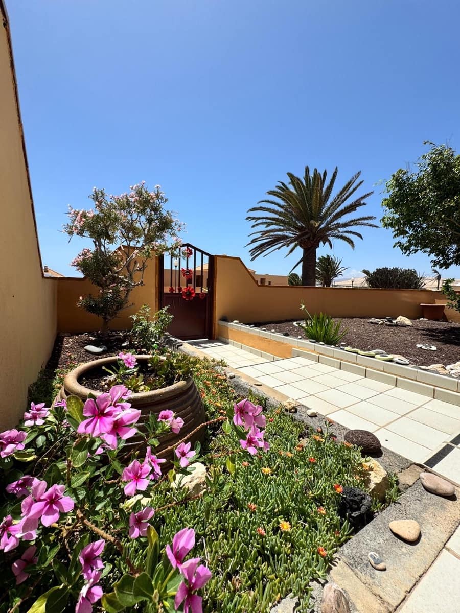 2 bedroom Apartment for rent in Costa Calma - € 1,750 (Ref: 10161035)