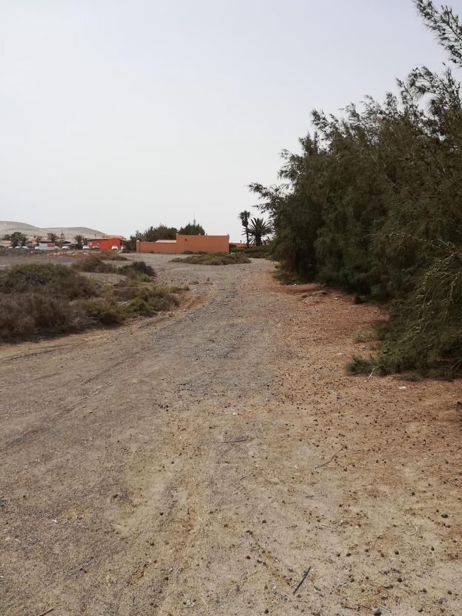 Grunde uden byggetilladelser til salg i Pajara - € 450.000 (Ref: 8588242)