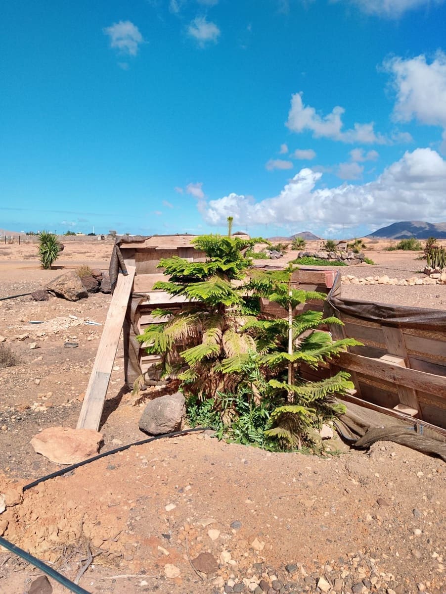 3 slaapkamer Finca/Landhuis te koop in Puerto del Rosario met garage - € 325.000 (Ref: 9042029)