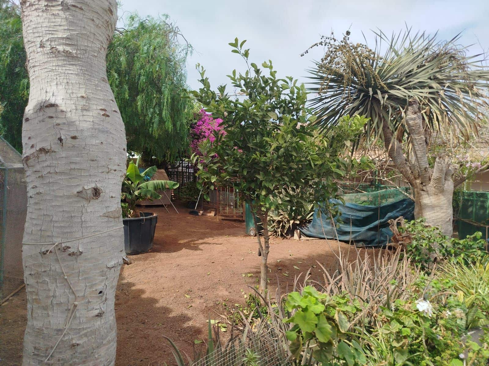 4 bedroom Villa for sale in Antigua with garage - € 290,000 (Ref: 9326039)