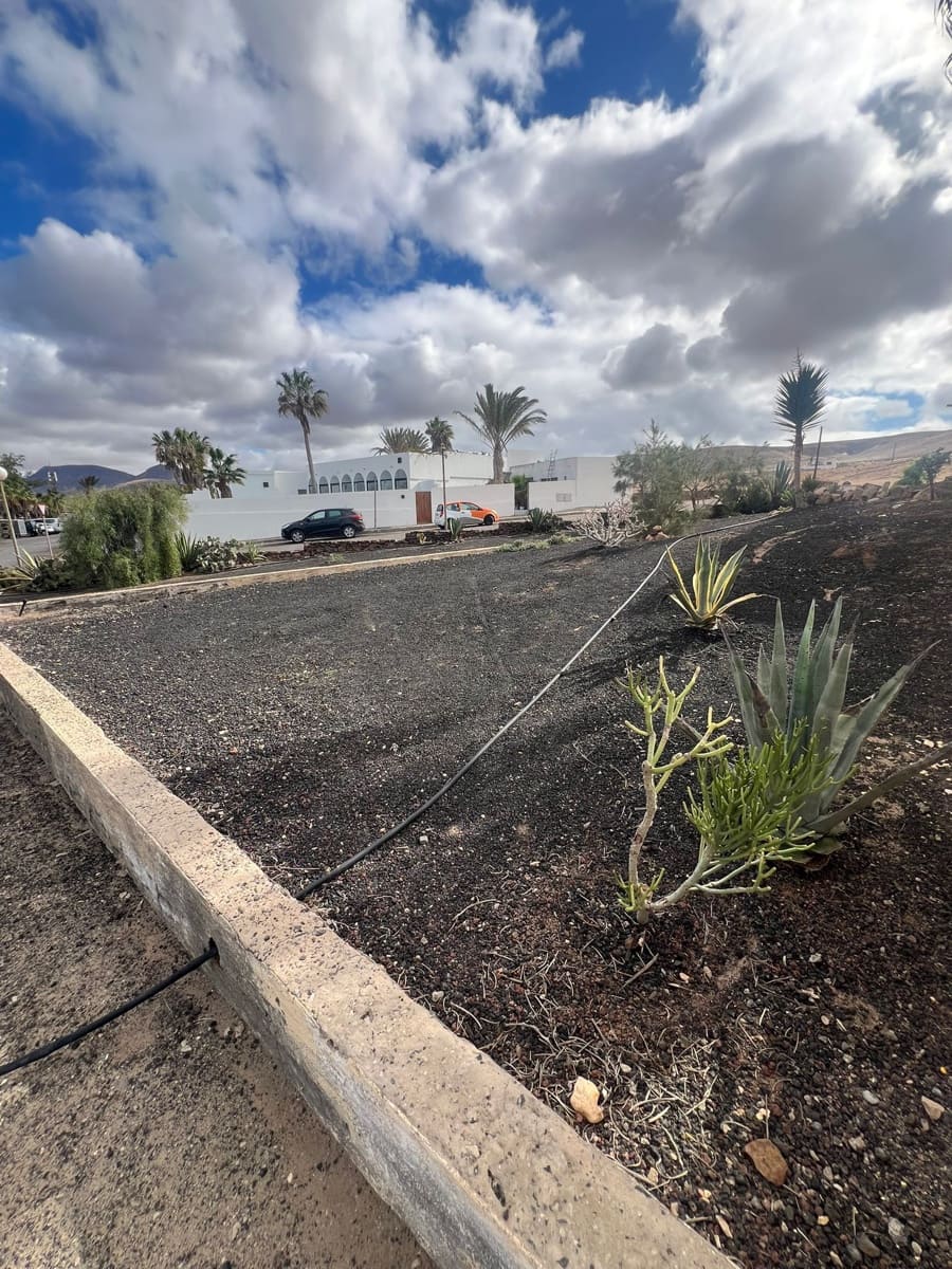 1 chambre Bungalow à vendre à Pajara - 220 000 € (Ref: 9436911)