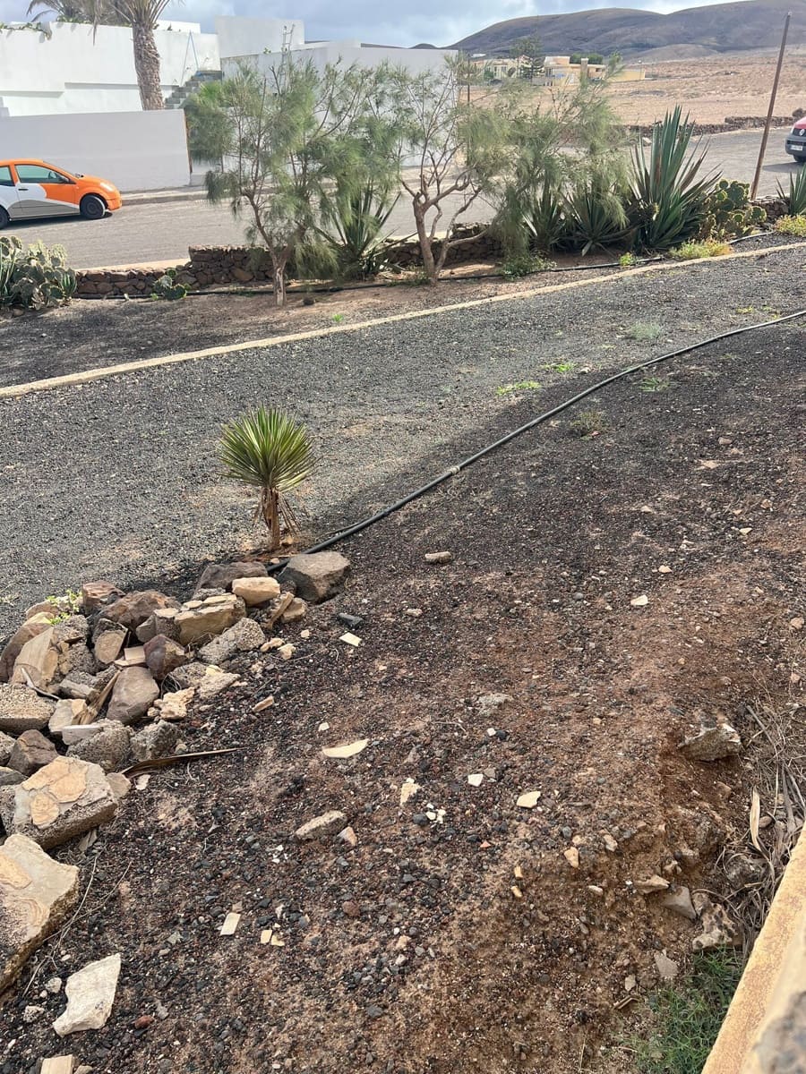 1 chambre Bungalow à vendre à Pajara - 220 000 € (Ref: 9436911)