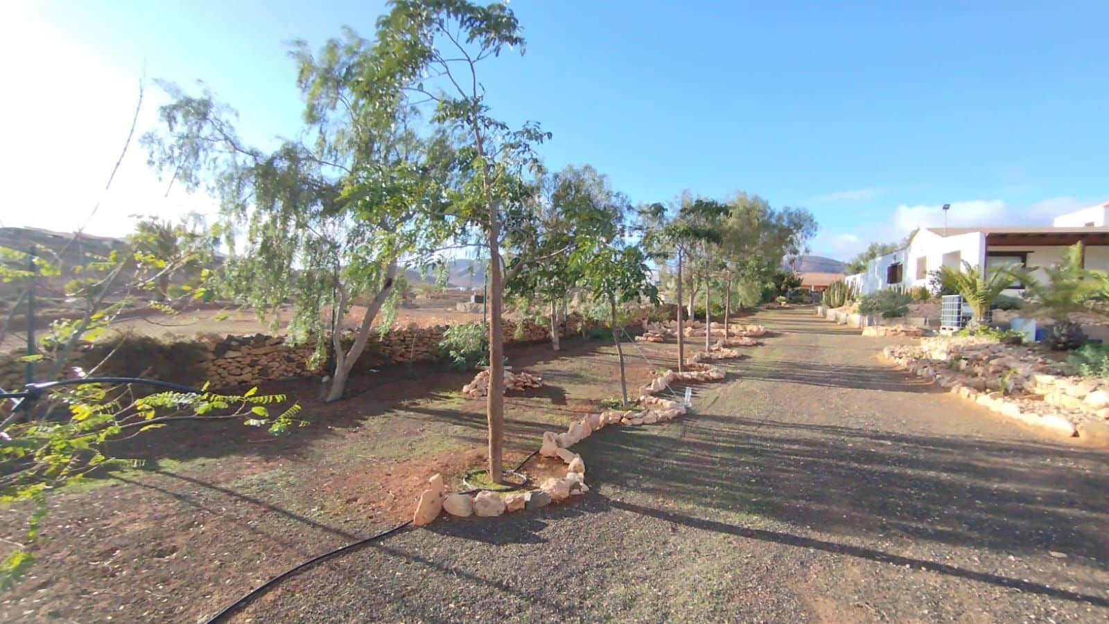 3 makuuhuone Huvila myytävänä paikassa Tuineje mukana uima-altaan - 469 000 € (Ref: 9468186)