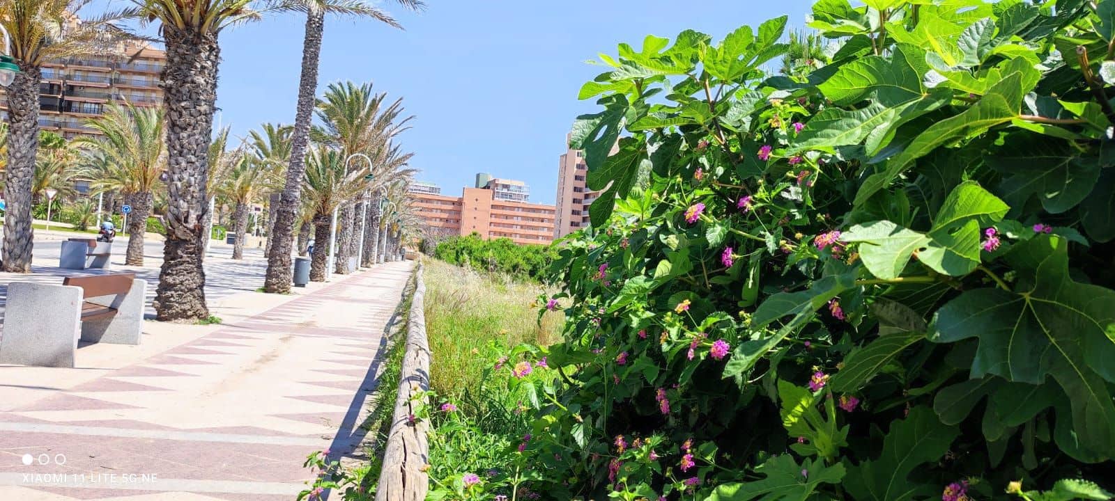 3 bedroom Apartment for sale in Arenales del Sol with pool garage - € 398,000 (Ref: 9016265)