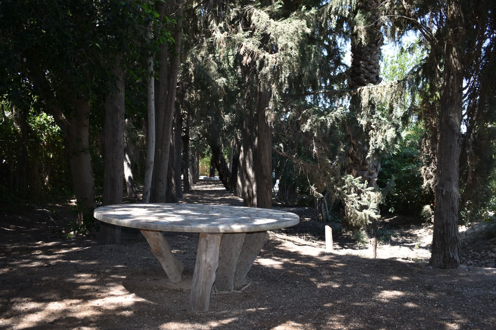 Grunde uden byggetilladelser til salg i Elche / Elx - € 415.000 (Ref: 9146487)