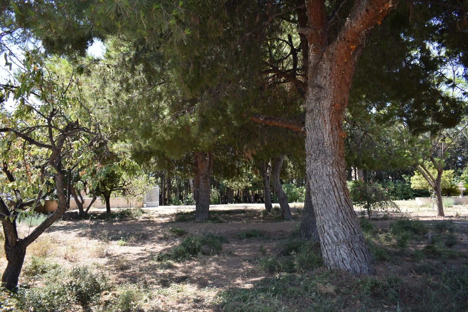 Grunde uden byggetilladelser til salg i Elche / Elx - € 415.000 (Ref: 9146487)