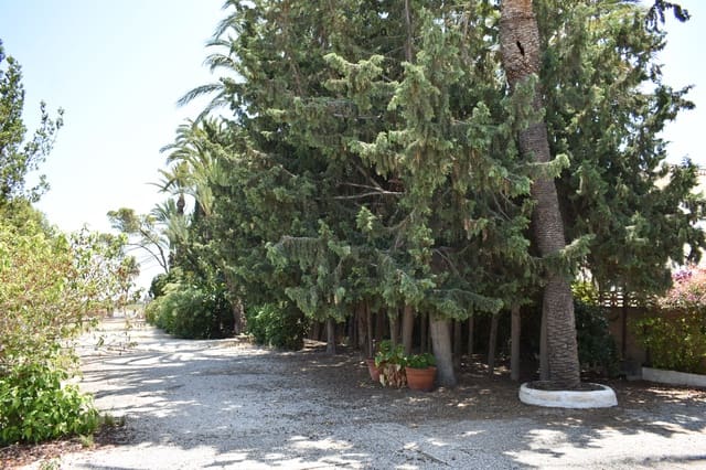 Grunde uden byggetilladelser til salg i Perleta - Maitino, Elche / Elx - € 415.000 (Ref: 9146487)