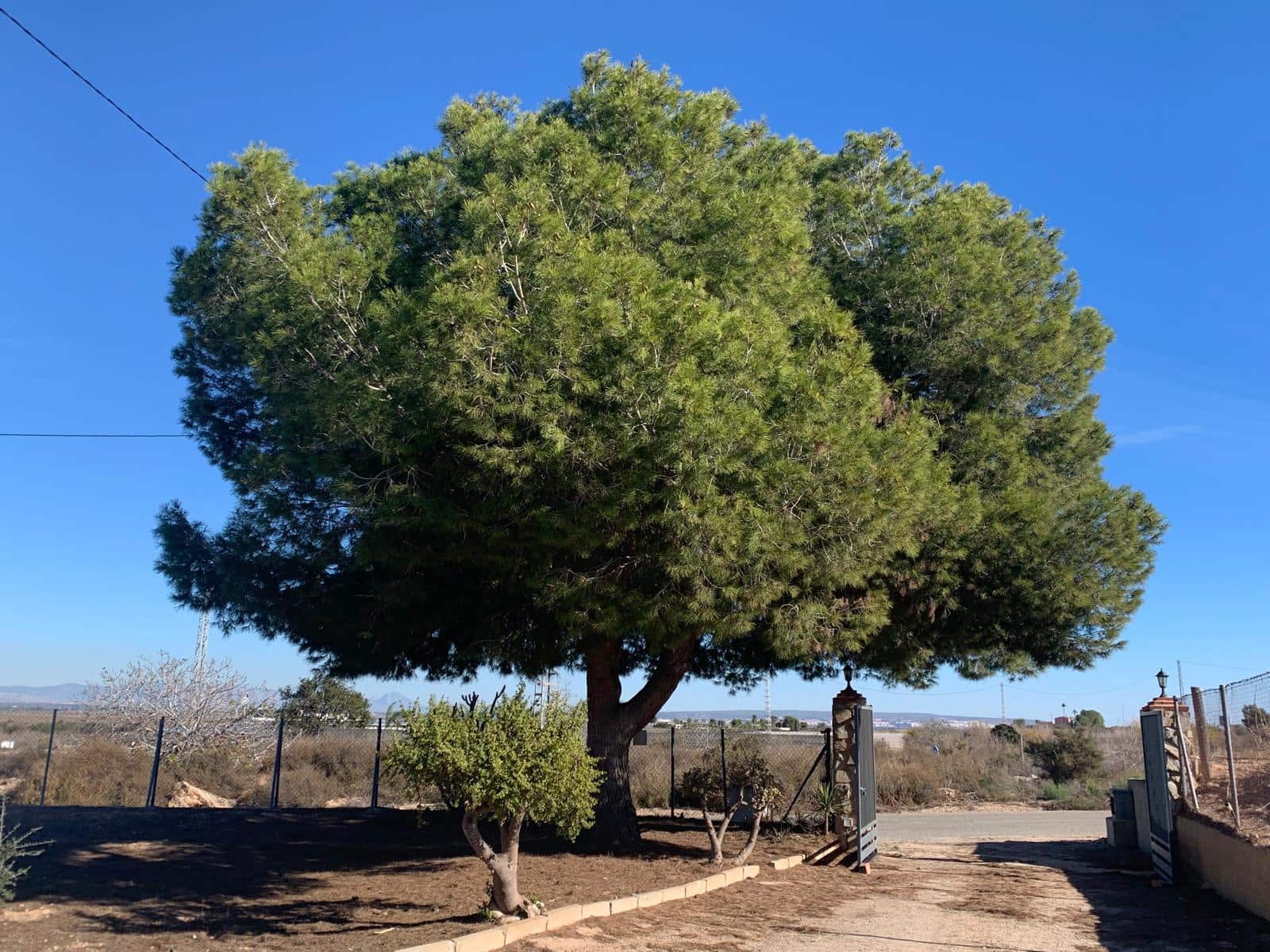 3 bedroom Finca/Country House for sale in La Marina with garage - € 311,000 (Ref: 9432679)