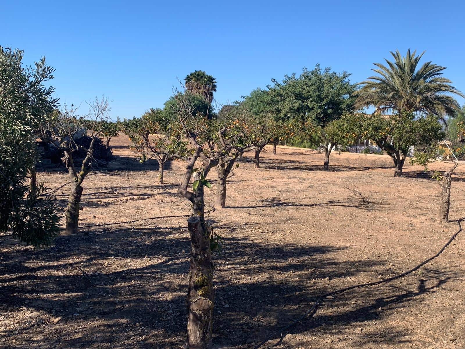 3 bedroom Finca/Country House for sale in La Marina with garage - € 311,000 (Ref: 9432679)