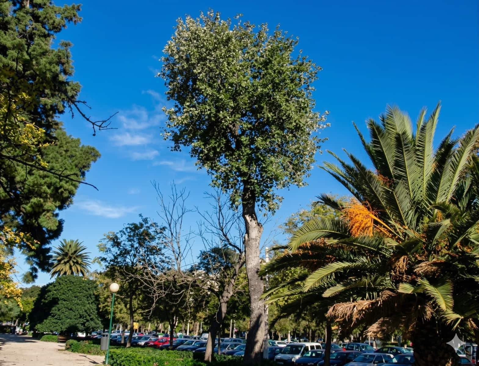 4 sovrum Lägenhet till salu i Valencia stad med garage - 1 080 000 € (Ref: 9669698)