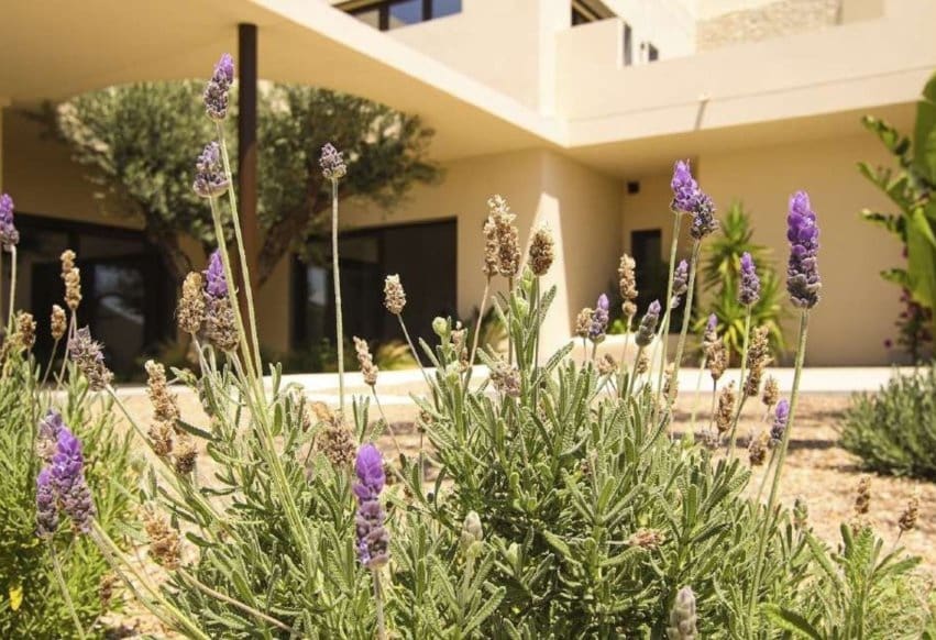 4 bedroom Villa for sale in La Marina - € 1,485,750 (Ref: 10009847)