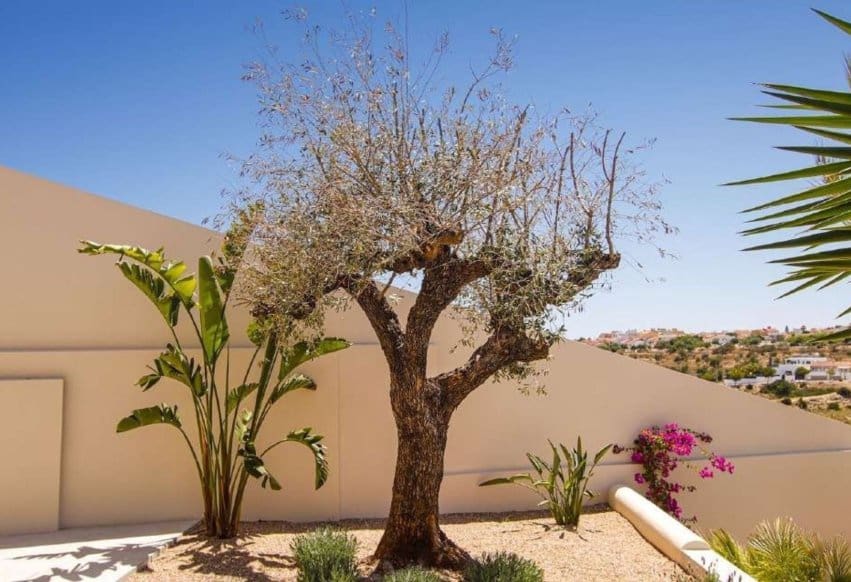 4 bedroom Villa for sale in La Marina - € 1,485,750 (Ref: 10009847)