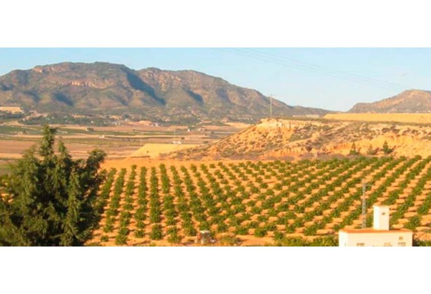 Area Edificabile in vendita in Torre-Pacheco - 1.290.000 € (Rif: 9293673)