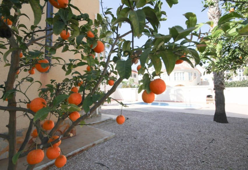 5 sypialnia Willa na sprzedaż w La Zenia z basenem - 600 000 € (Ref: 9293674)