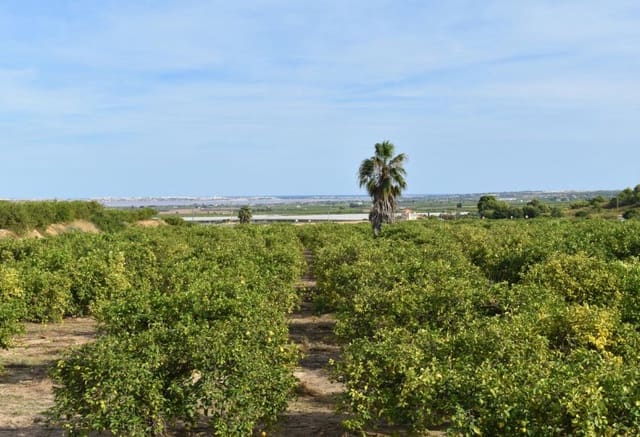 5 bedroom Villa for sale in Torremendo, Orihuela with pool - € 495,000 (Ref: 9293681)