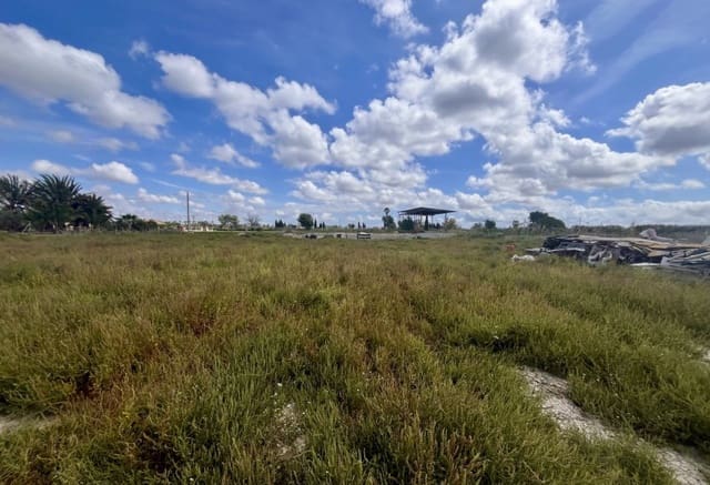 Building Plot for sale in Catral - € 97,000 (Ref: 9293682)