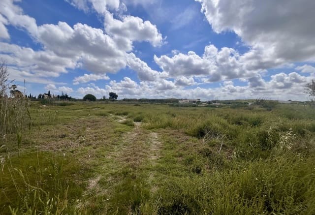 Building Plot for sale in Catral - € 97,000 (Ref: 9293682)