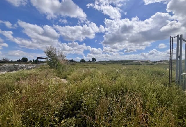 Building Plot for sale in Catral - € 97,000 (Ref: 9293682)