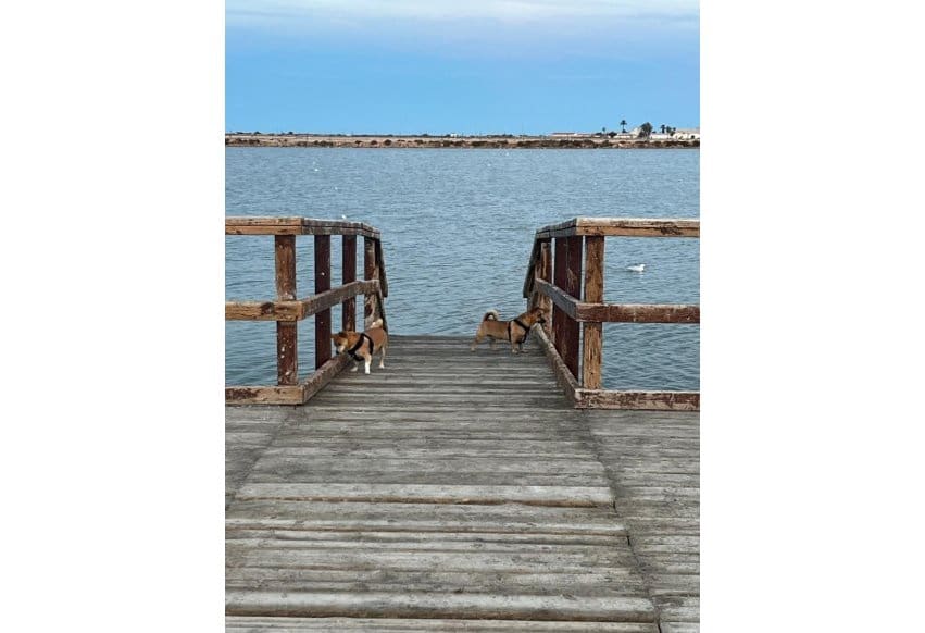 6 chambre Appartement à vendre à San Pedro del Pinatar - 260 000 € (Ref: 9307136)