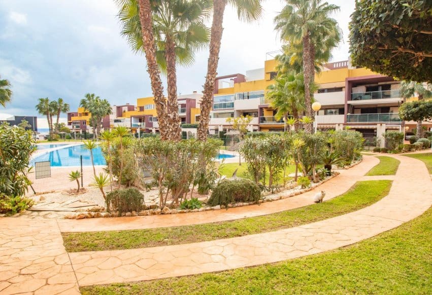 2 slaapkamer Appartement te koop in Playa Flamenca met zwembad - € 249.000 (Ref: 9665308)