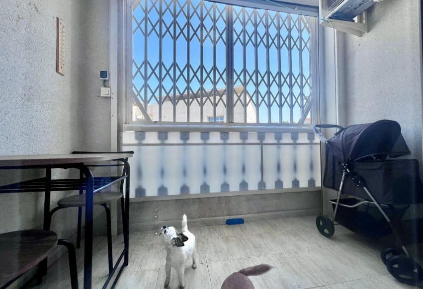 2 soverom Leilighet til salgs i Torrevieja med svømmebasseng - € 145 000 (Ref: 9769991)