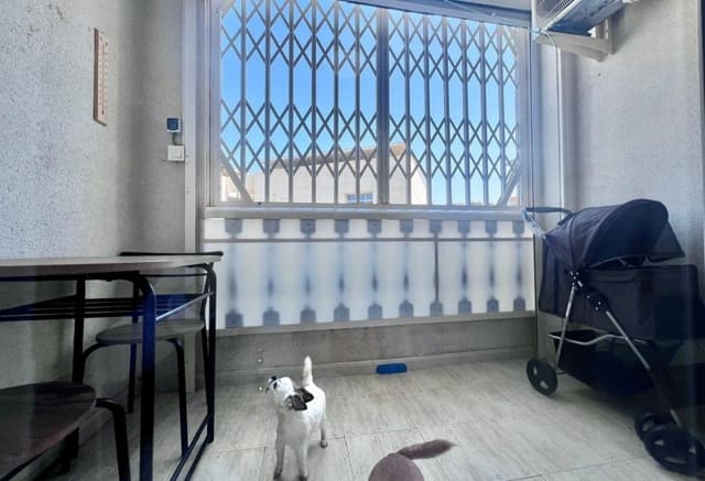 2 soverom Leilighet til salgs i El Acequión - Los Náufragos, Torrevieja med svømmebasseng - € 145 000 (Ref: 9769991)