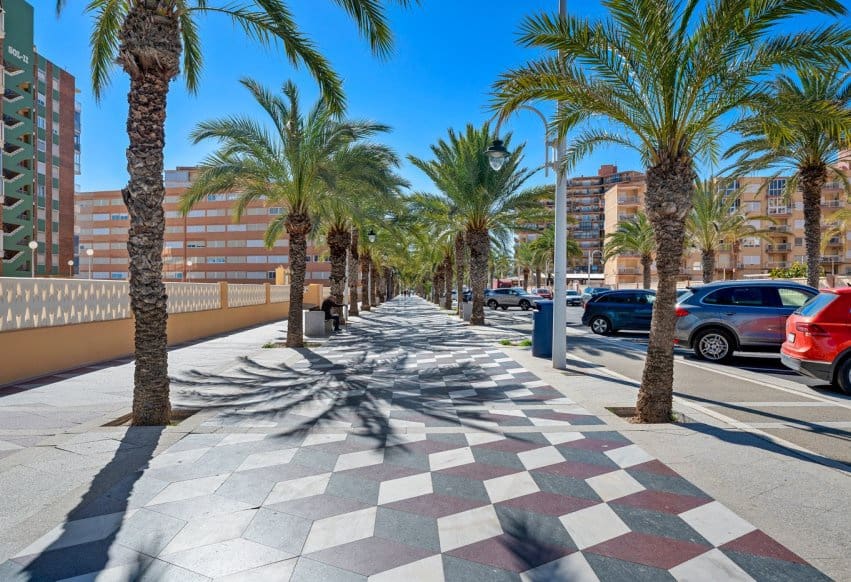 3 chambre Appartement de Plage à vendre à Elche / Elx - 340 000 € (Ref: 9802868)