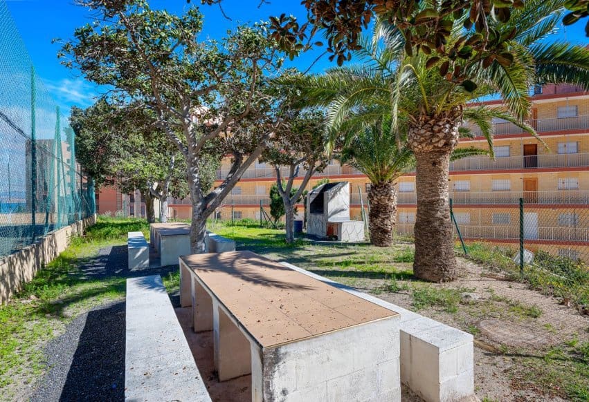 3 chambre Appartement de Plage à vendre à Elche / Elx - 340 000 € (Ref: 9802868)