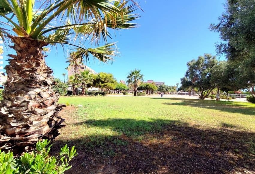 Apartamento Playa de 1 habitación en Torrevieja en venta con piscina - 127.000 € (Ref: 9943216)