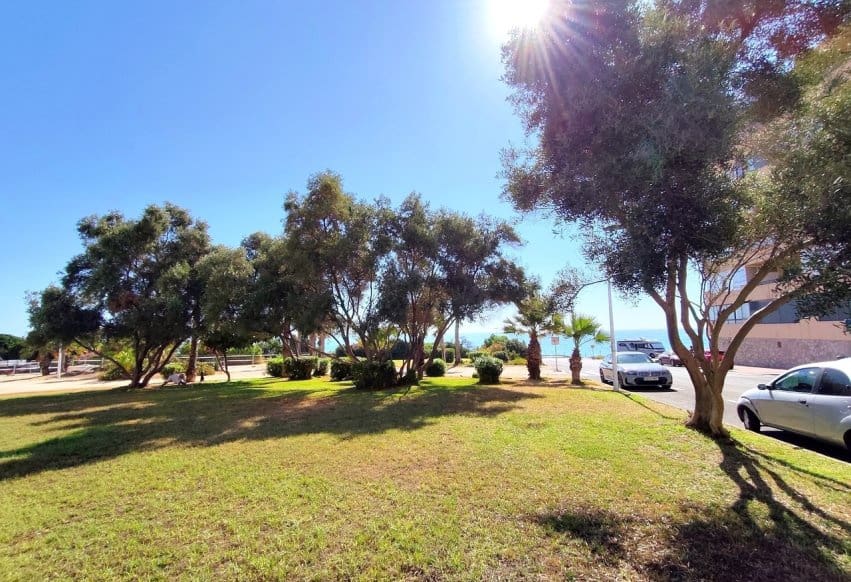 Apartamento Playa de 1 habitación en Torrevieja en venta con piscina - 127.000 € (Ref: 9943216)